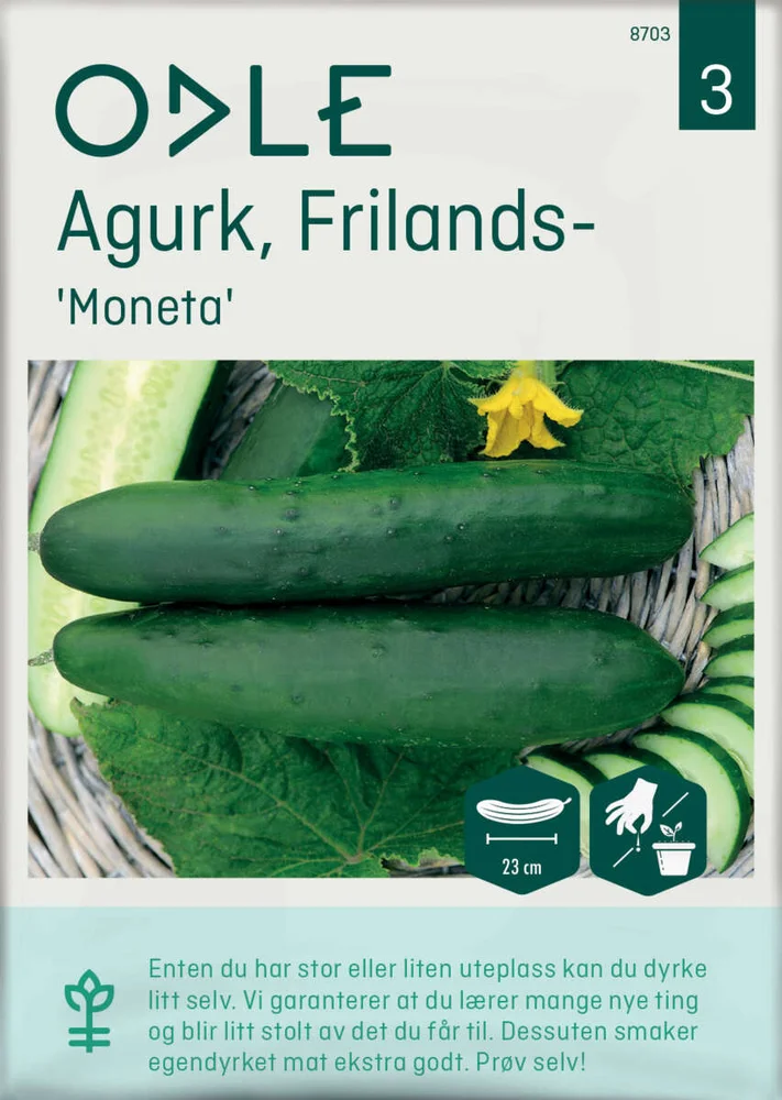 Odle ' Moneta' frilands- agurk frø v:2580954 Odle ' Moneta' frilands- agurk frø v:2580954
