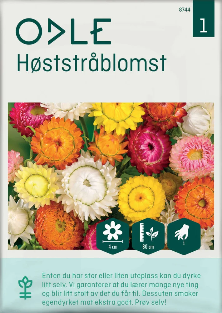 Odle høststråblomst frø v:9612347 Odle høststråblomst frø v:9612347