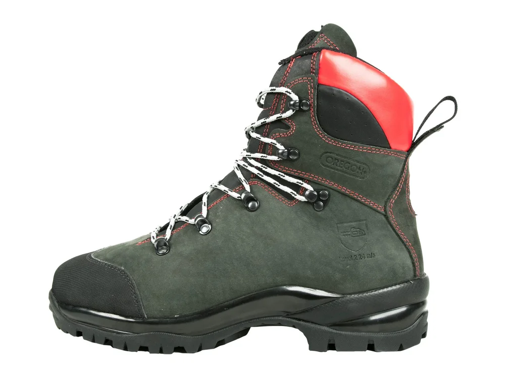 OREGON SKOLETT FIORDLAND OREGON v:6816434 OREGON SKOLETT FIORDLAND OREGON v:6816434