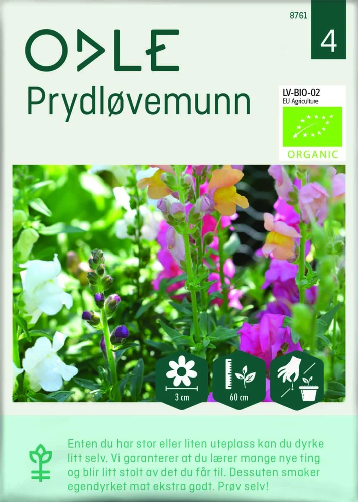 Odle høy prydløvemunn frø v:3489065 Odle høy prydløvemunn frø v:3489065