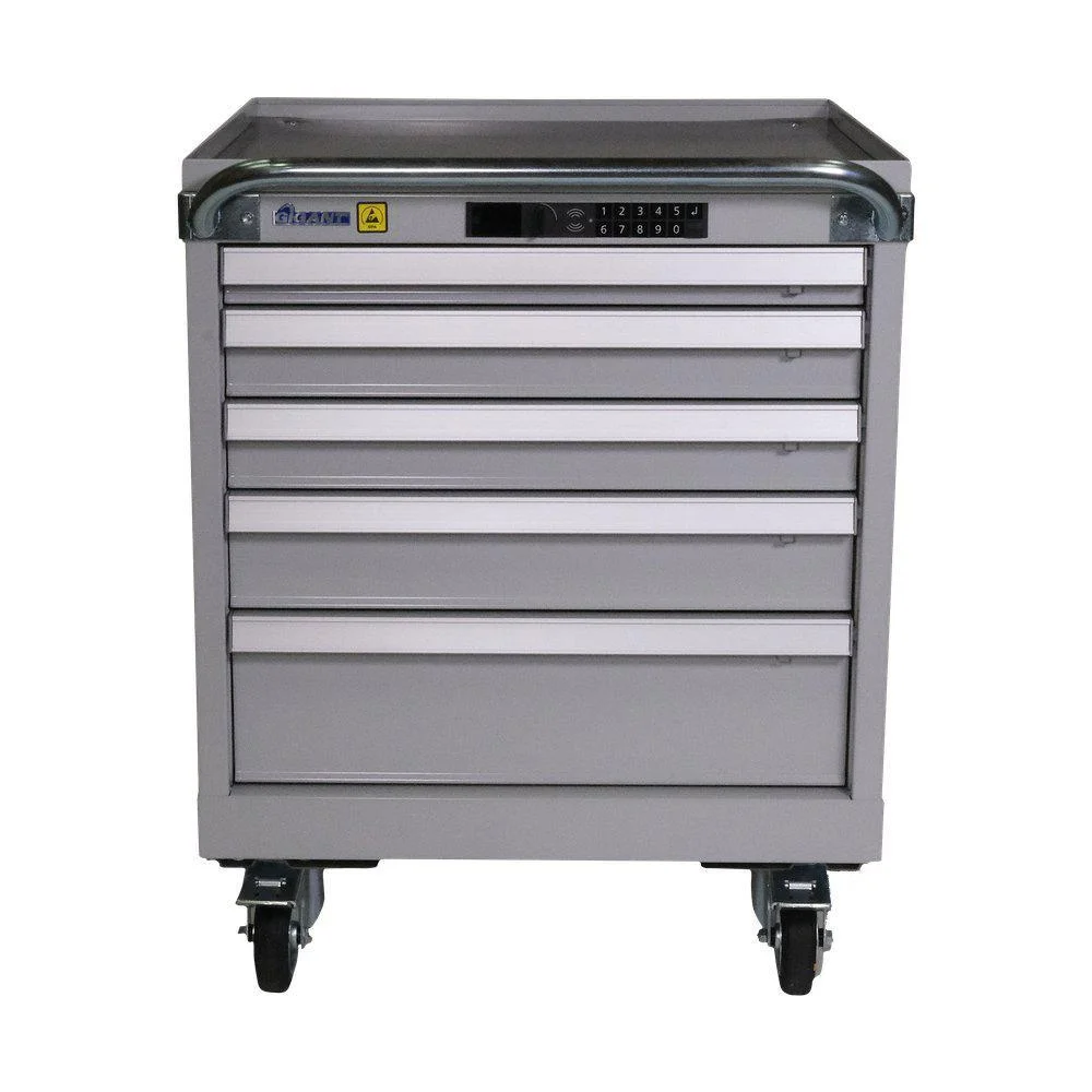 GIGANT ESD VERKTØYKABINETT 5 L 27X27 H810 v:8399785