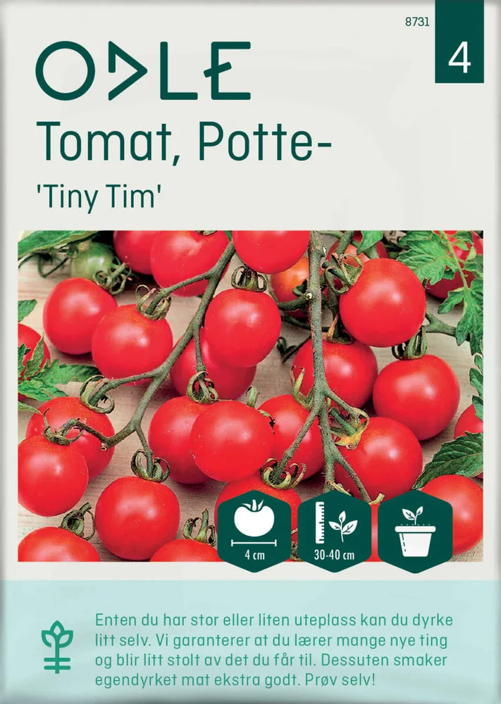 Odle 'Tiny Tim' potte cherrytomat frø v:7619955