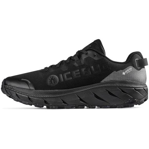 Arcus 2 RB9X GTX Icebug Yrkesko 4051233