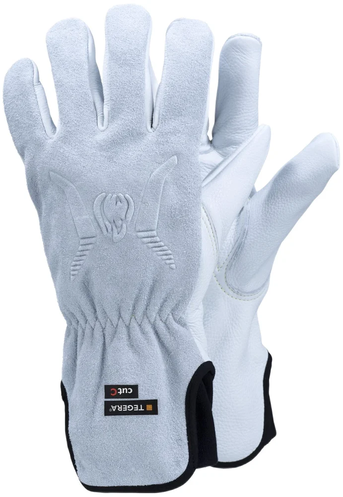 KUTTHANSKE TEGERA® DYNAMIC STRENGTH 7780 v:9162848