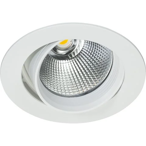 Silver Easyform Downlight 3043453