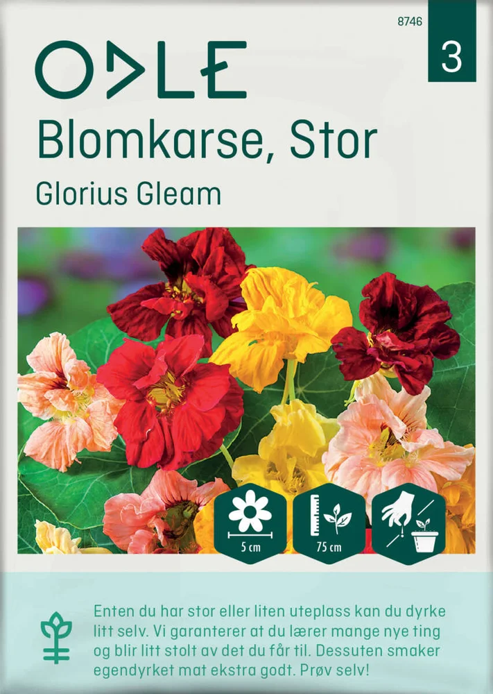 Odle 'Glorius Gleam' stor blomkarse frø v:5933286 Odle 'Glorius Gleam' stor blomkarse frø v:5933286