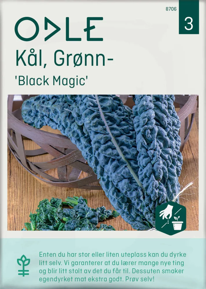 Odle 'Black Magic' grønnkål frø v:4950835 Odle 'Black Magic' grønnkål frø v:4950835