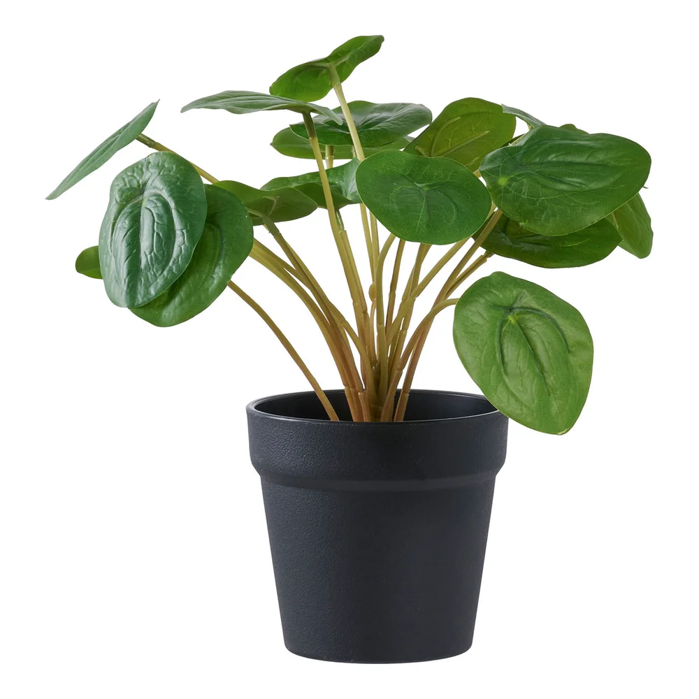HOUSE NORDIC PELIA KUNSTIG PLANTE GRØNN H28 CM v:8105688